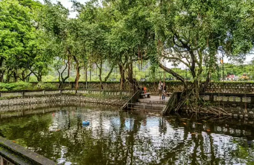 Delhi-NCR AQI crisis puts spotlight on wellness homes; experts say air quality needs city-level fixes