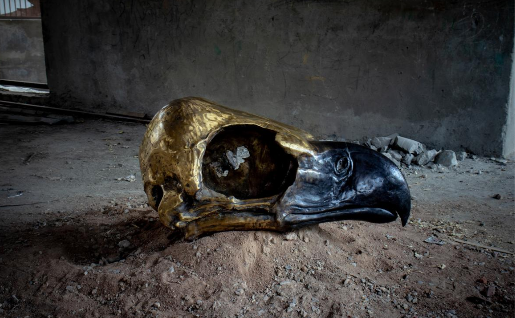 Mycelium to Miyawaki forests at India Art Fair 2026